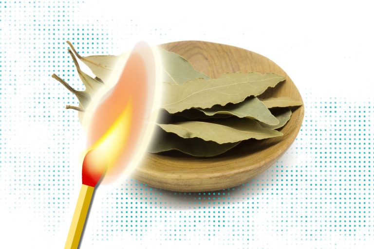 De ce să pui foi de dafin la intrarea în casă. Schimbările te vor ului, trucul extraordinar pe care trebuie să-l încerci