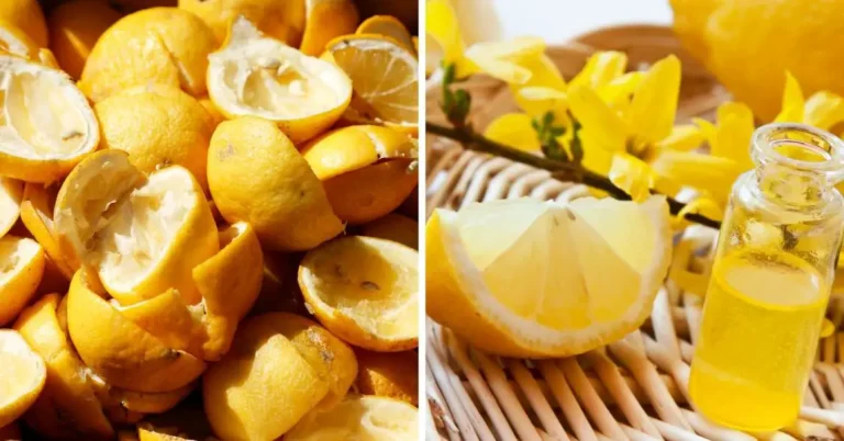 De ce să presari coji de lămâie în grădina casei. Trucul din bătrâni e uluitor, te scapă de o mare problemă