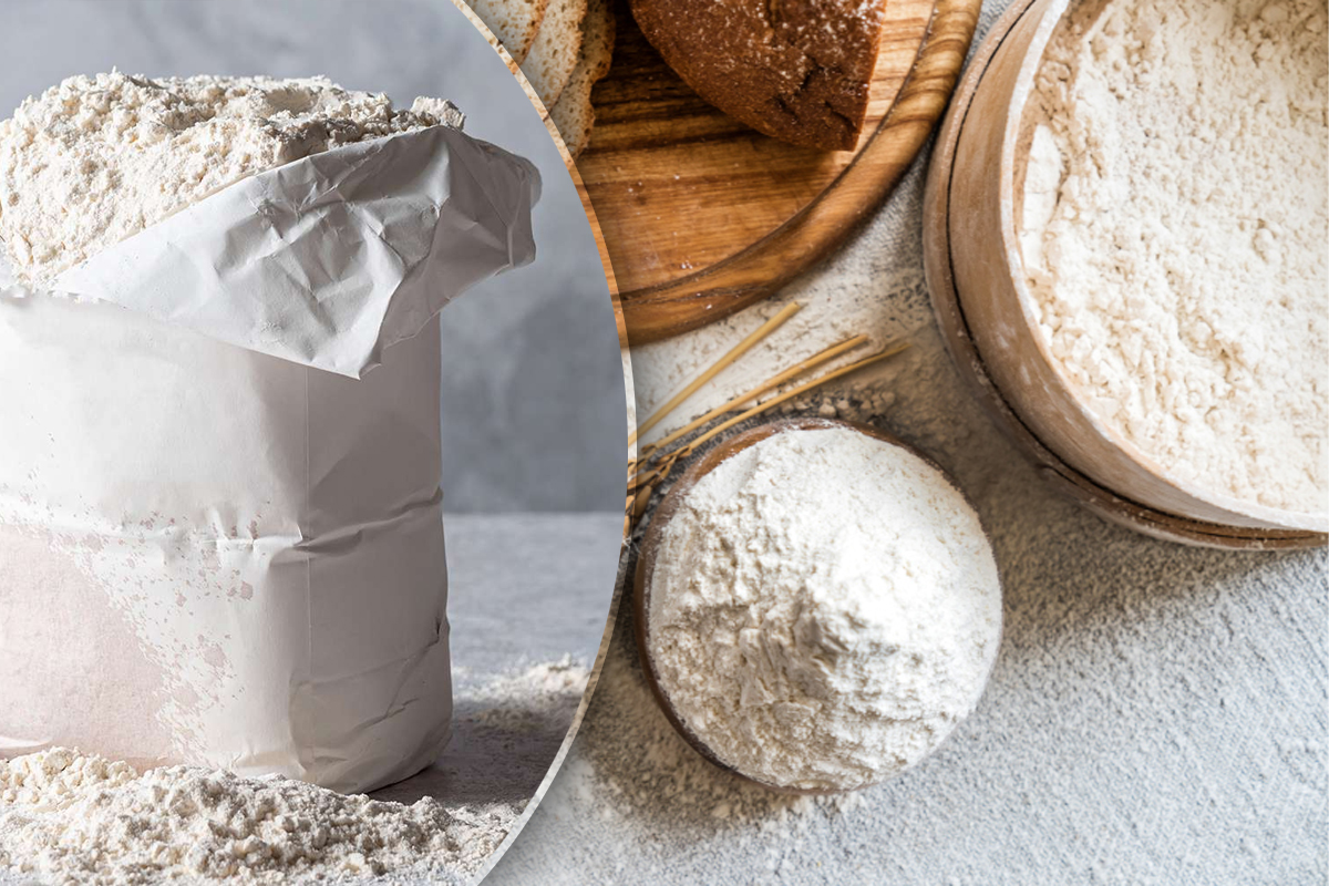 Care este pluralul pentru faina. Putina lume stie forma corecta