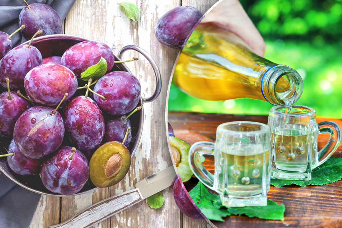 Cât se lasă prunele la fermentat pentru țuică