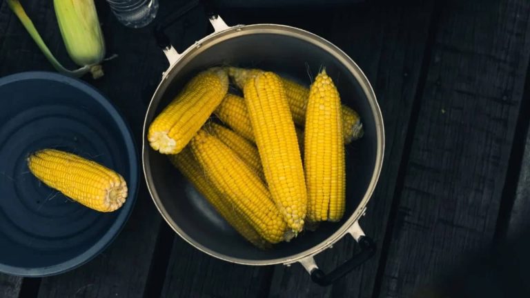 Cum să fierbi porumbul ca să iasă moale și delicios. Secretul de la țară pe care trebuie să-l știi