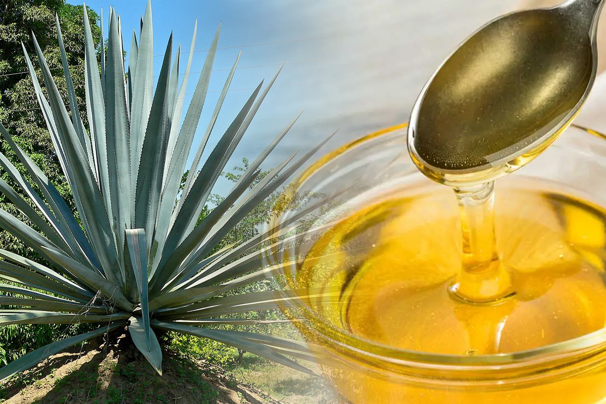 Ce contine siropul de agave, de fapt. Detaliul de pe eticheta pe care multi l-au ignorat