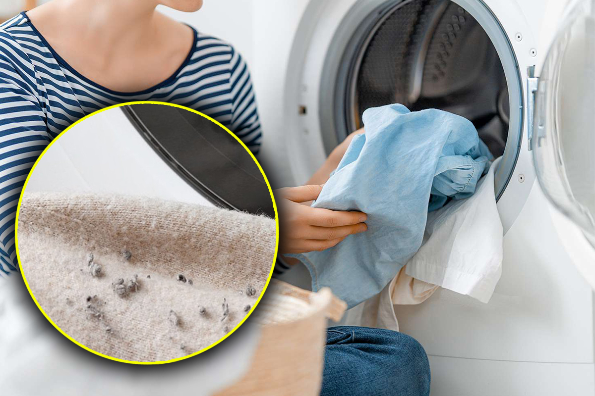 Ce trebuie să pui în mașina de spălat pentru a scăpa de scame. Trucul banal care elimină această problemă