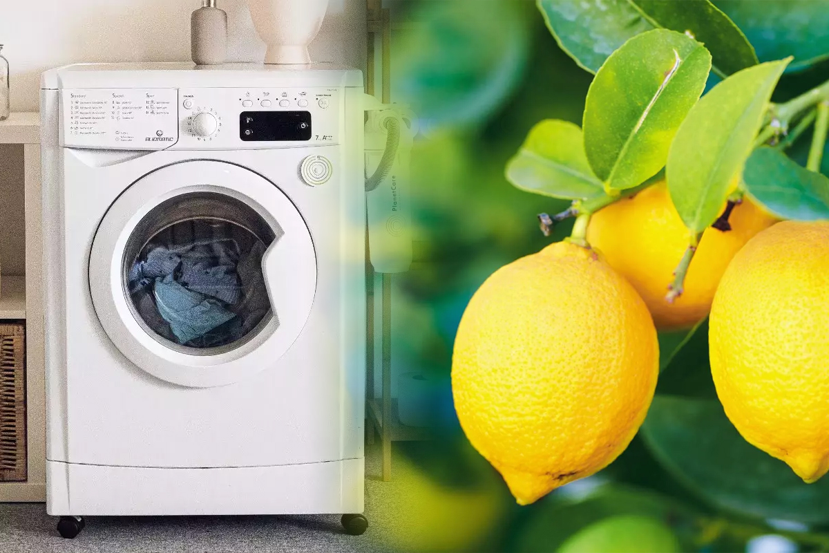 Ce se intampla daca pui o lamaie in masina de spalat. Vei scapa de problema cu care se confrunta toate gospodinele