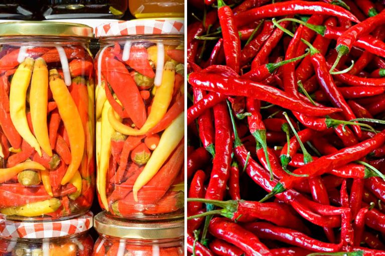 Cea mai simplă rețetă de ardei iuți la borcan fără fierbere. Ingredientul care dă gustul adevărat de la țară