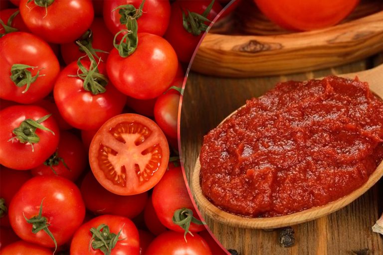 Cele mai bune roșii pentru bulion. Topul experților care garantează gust deosebit și aromă intensă