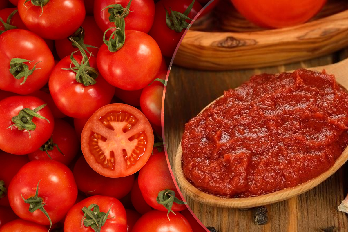 Cele mai bune roșii pentru bulion