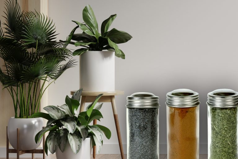 Condimentul secret pentru plante ca să crească sănătoase și puternice. Florile tale vor fi mai frumoase ca niciodată