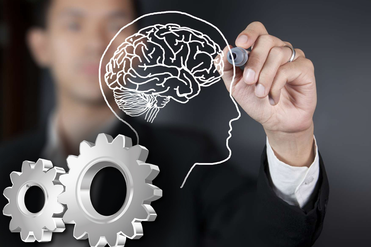 Curiozități despre creierul uman