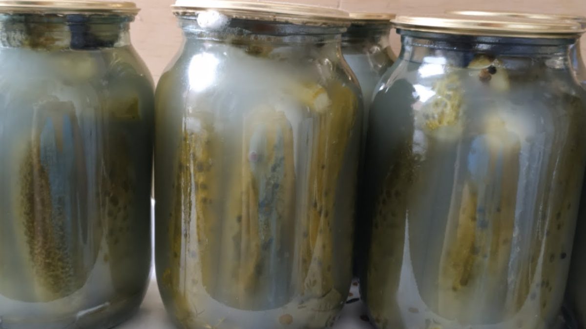 De ce fermentează castraveții murați