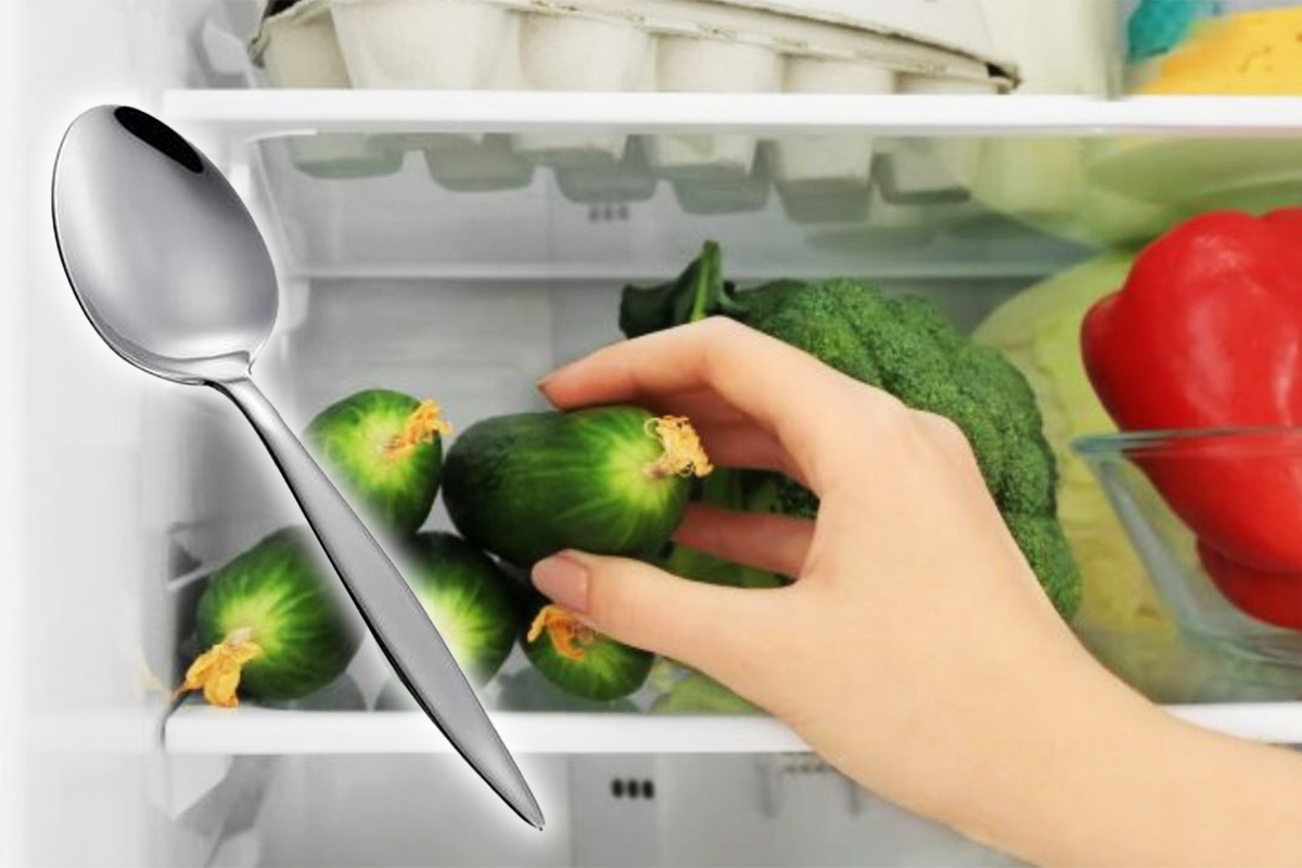 De ce gospodinele iscusite pun o lingura langa castravetii din frigider. Efectul e fabulos si neasteptat