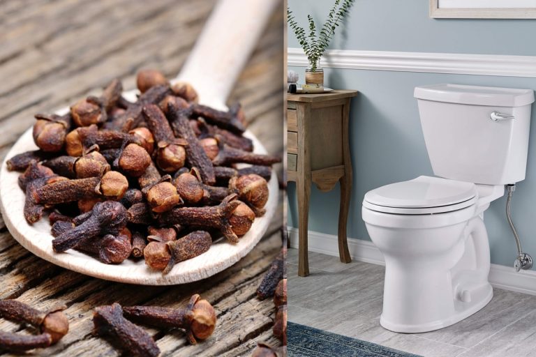 De ce să pui cuișoare în vasul de toaletă. Metoda rezolvă o problemă uriașă