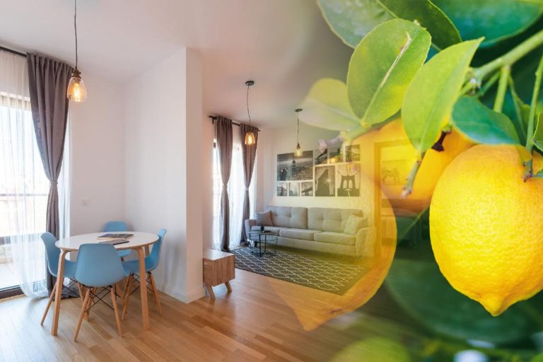 De ce să pui lămâie în toată casă, inclusiv în baie și bucătărie. Gestul banal cu efecte uriașe