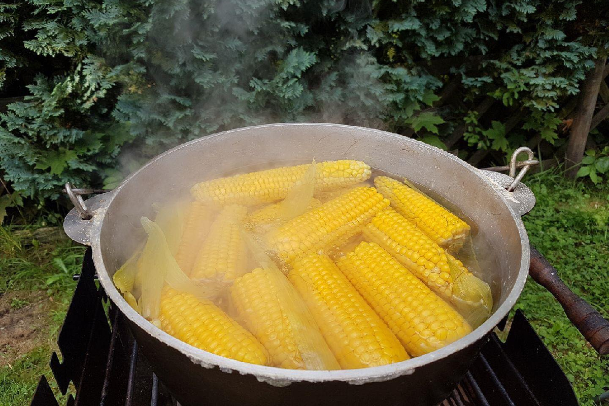 Ingredientul pe care sa-l adaugi in apa in care fierbi porumbul. Va iesi moale si mult mai gustos, trucul pe care trebuie neaparat sa-l incerci