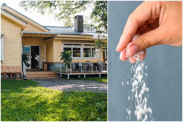 Ingredientul secret pe care să-l presari în fața casei. Truc cu rezultate peste așteptări