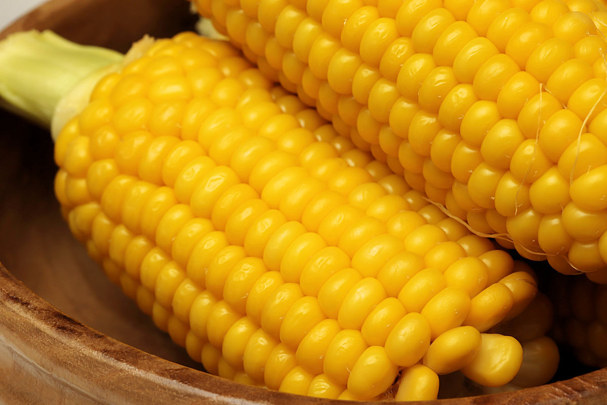 Nu mai pune sare in apa in care fierbi porumbul. Ce trebuie sa adaugi pentru un gust deosebit, asta il face delicios de fapt