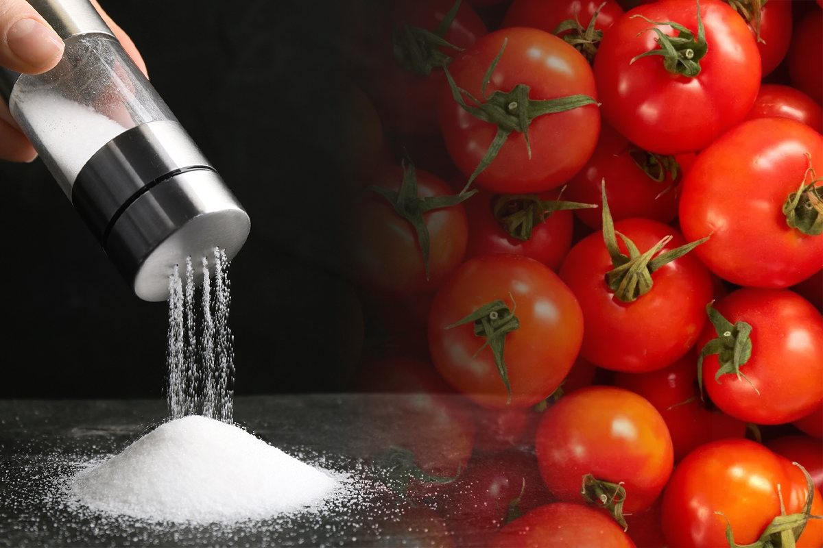Putine gospodine au auzit de trucul asta. De ce sa pui mereu sare peste rosii inainte de a le gati. Marii bucatari l-au dezvaluit