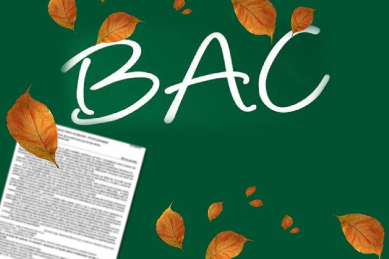 Rezolvare subiecte BAC 2023 sesiunea de toamnă la proba la alegere. Cât de dificile au fost subiectele