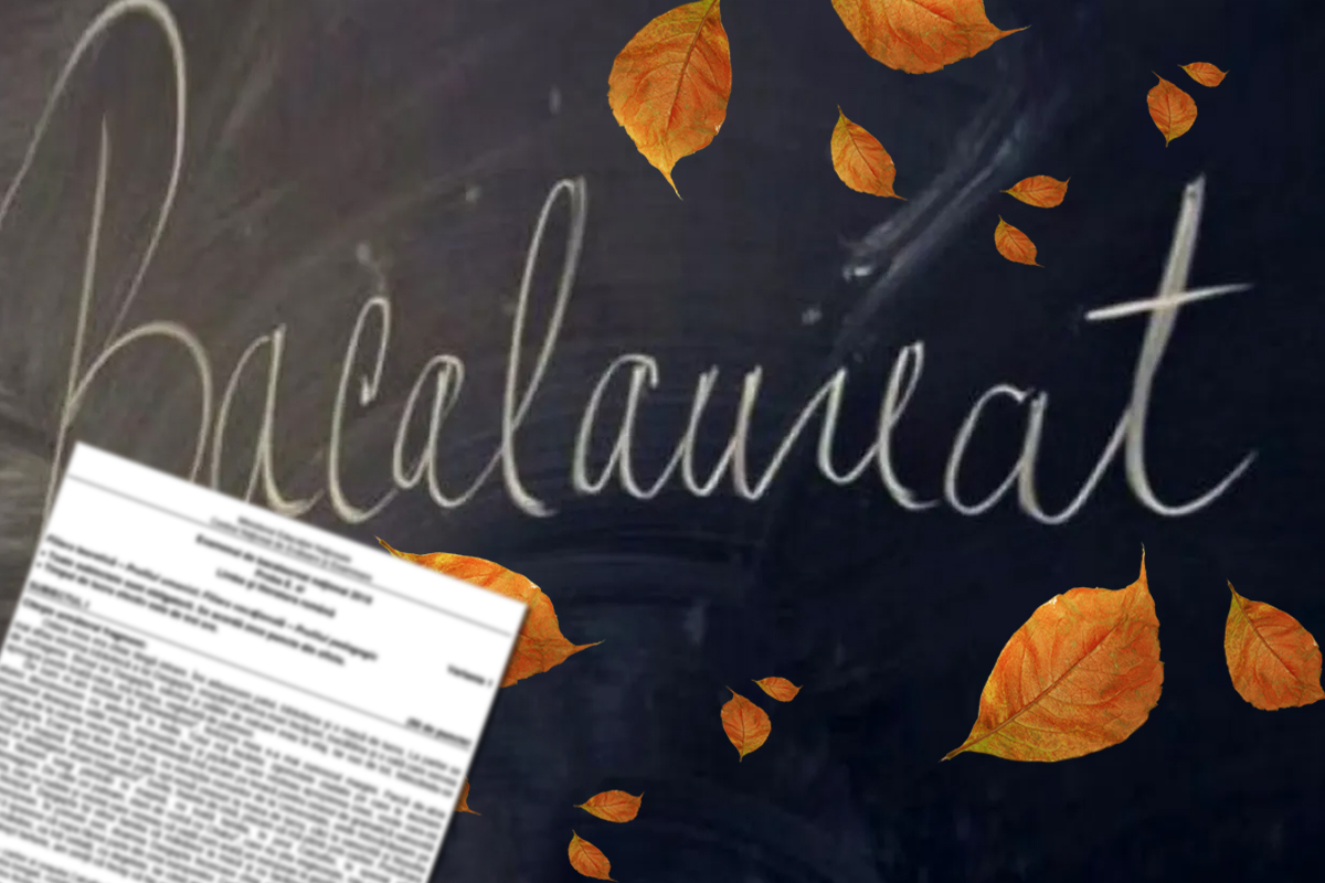 Subiecte BAC 2023 sesiunea de toamnă la proba la alegere