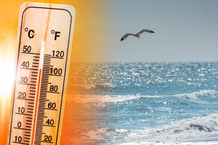 Temperatura Mării Negre în august 2023. Când se încălzește apa. Detaliul de care să ții cont pentru o vacanță reușită