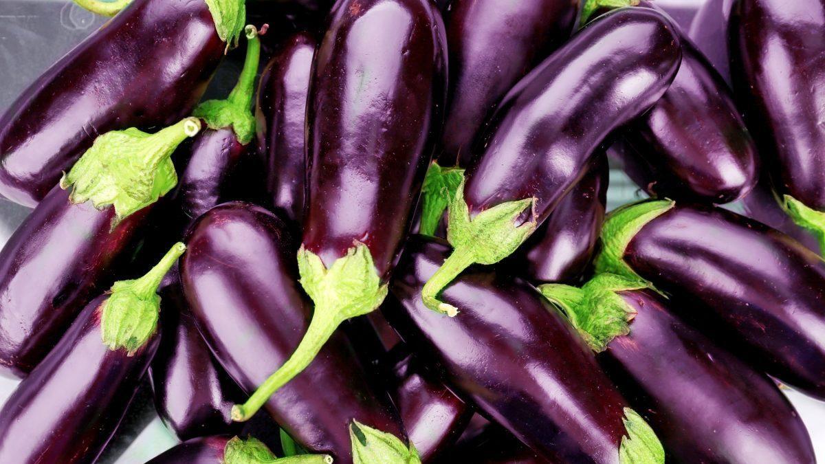 Temperatura și timpul de coacere a vinetelor în cuptorul electric