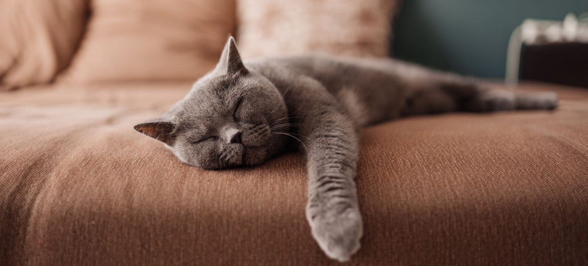 Trucuri pentru a dormi când e caniculă