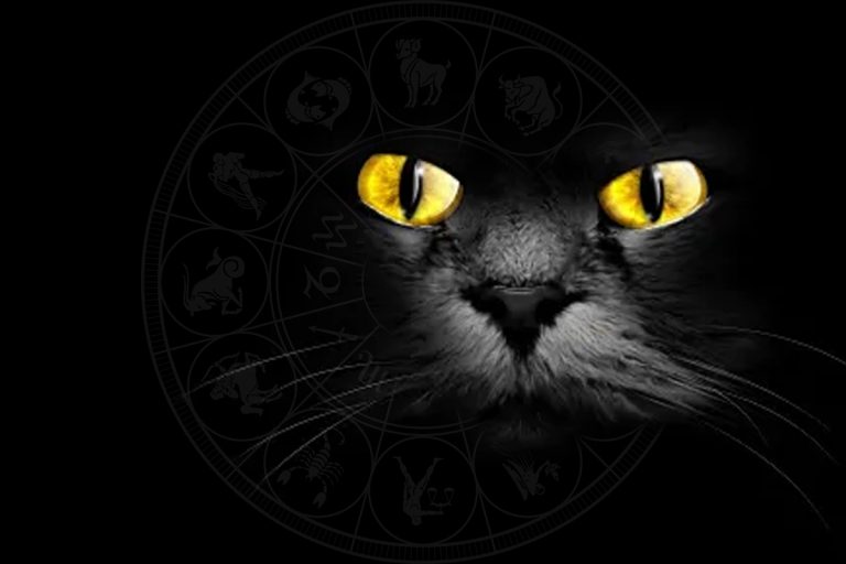 Zodii urmărite de ghinion până pe 15 septembrie 2023. Mercur retrograd le aduce numai necazuri