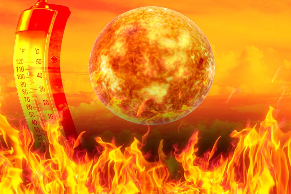 Care este pluralul la caniculă