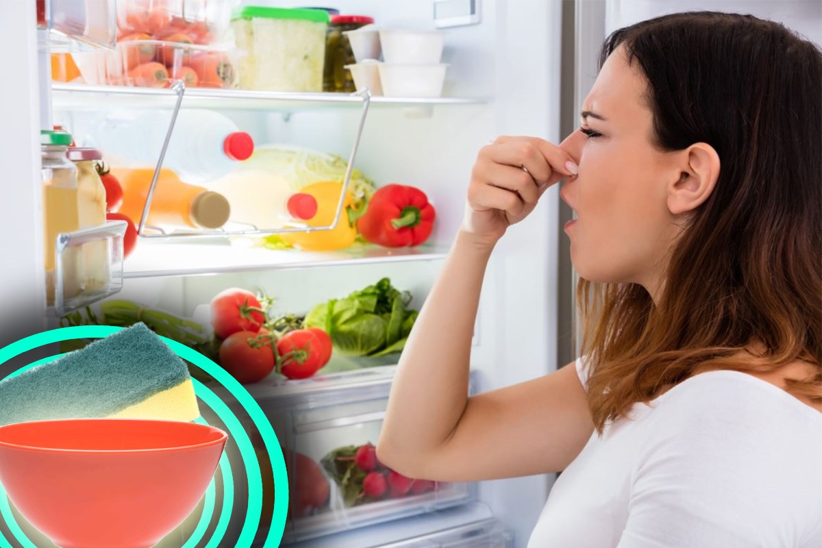 Trucul extraordinar care elimină mirosul urât din frigider