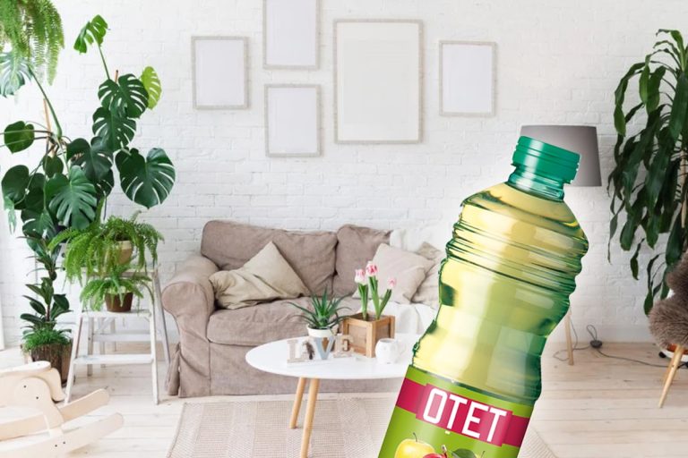 4 utilizări secrete ale oțetului în grădină. Doar experții le știu