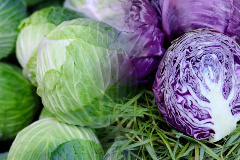 Care este cea mai bună varză de pus la murat. Detaliul care face diferența, cum trebuie să fie de fapt frunzele ei