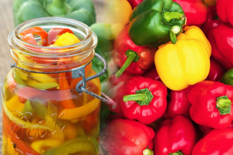 Cât oțet se pune la gogoșarii murați, de fapt. Așa rămân crocanți și se păstrează perfect peste iarnă