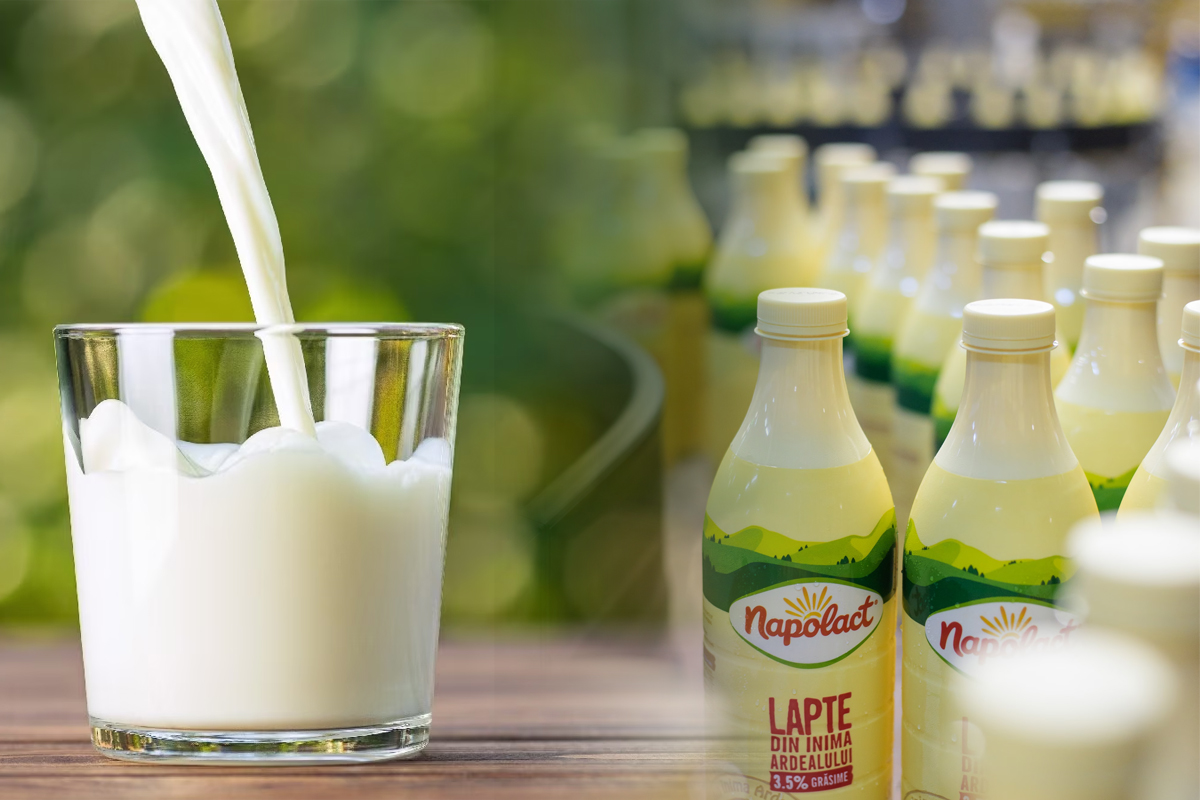 Ce contine laptele Napolact, de fapt