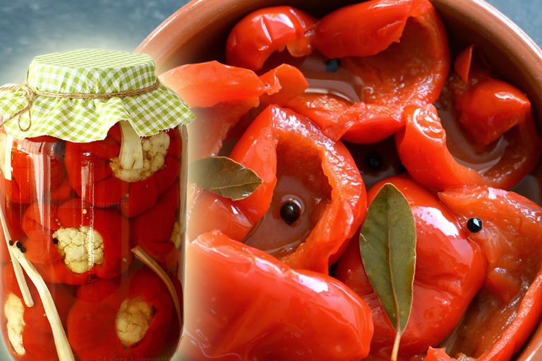 Gogoșari în oțet după o rețetă veche. Trucul moștenit de o gospodină de la bunica ei face furori deja