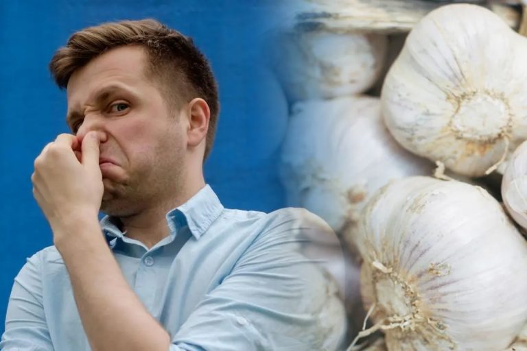 Cum poți să scapi de mirosul de usturoi. Alimentul surpriză care te ajută în proporție de 99%, conform specialiștilor