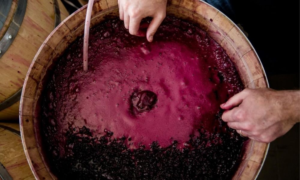 Cum se oprește fermentația mustului
