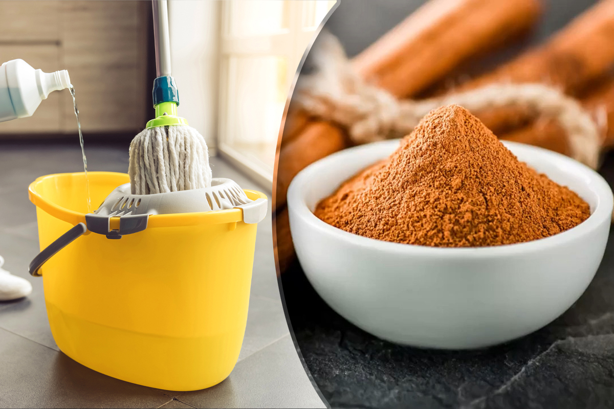 De ce sa presari scortisoara in solutia cu care speli parchetul