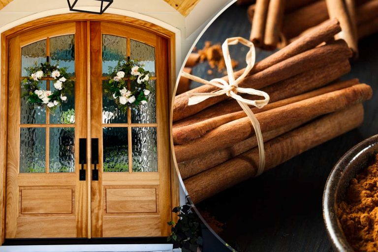 De ce să presari scorțișoară la intrarea în casă. O să faci și tu asta de acum, trucul uluitor