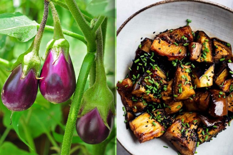 De ce vinetele devin amare după gătit, de fapt. Greșeala pe care o fac multe gospodine