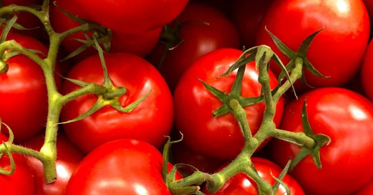 Trucul simplu care îți arată cât de proaspete sunt roșiile. Când nu trebuie să le ții în frigider