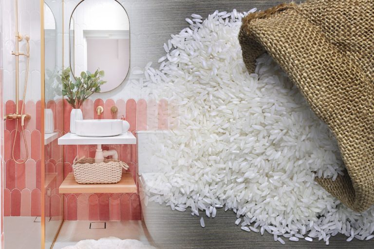 Gospodinele istețe lasă mereu un bol cu orez în baie. Trucul e fabulos, rezolvă o problemă uriașă