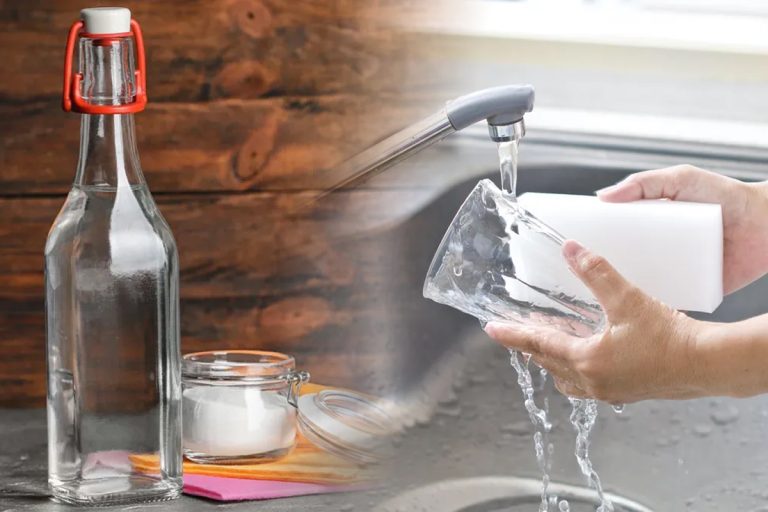 Gospodinele pricepute spală mereu paharele cu oțet și orez. Motivul te va surprinde total