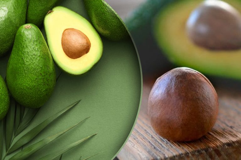 Nu mai arunca sâmburele de la avocado la gunoi. Ce poți face de fapt cu el, rămâi surprins când vei afla în câte moduri îl poți utiliza