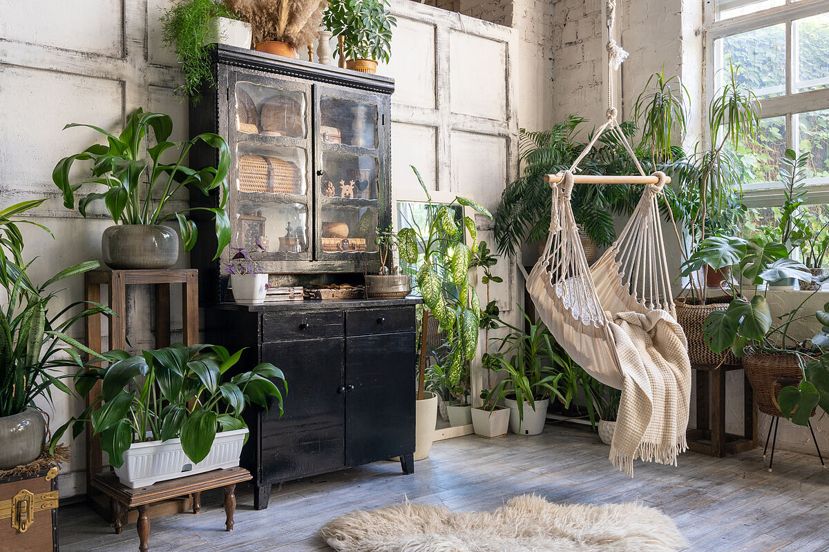 Plantele talisman care aduc noroc, sanatate si bunastare