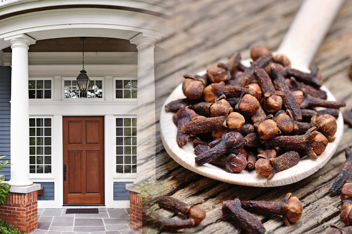 Pune cuisoare la intrarea in casa, in septembrie. Trucul secret te scapa de o mare problema