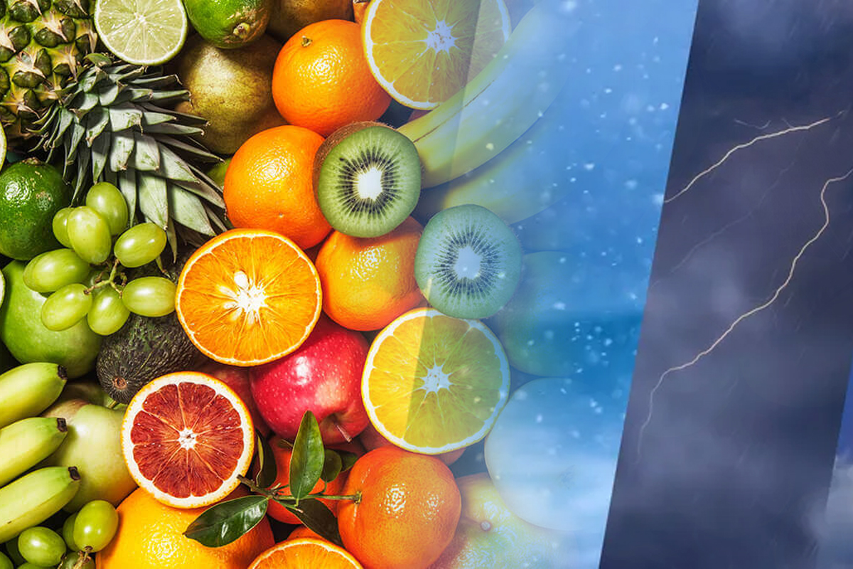 Top 10 fructe si legume care rezista cel mai mult in conditii vitrege