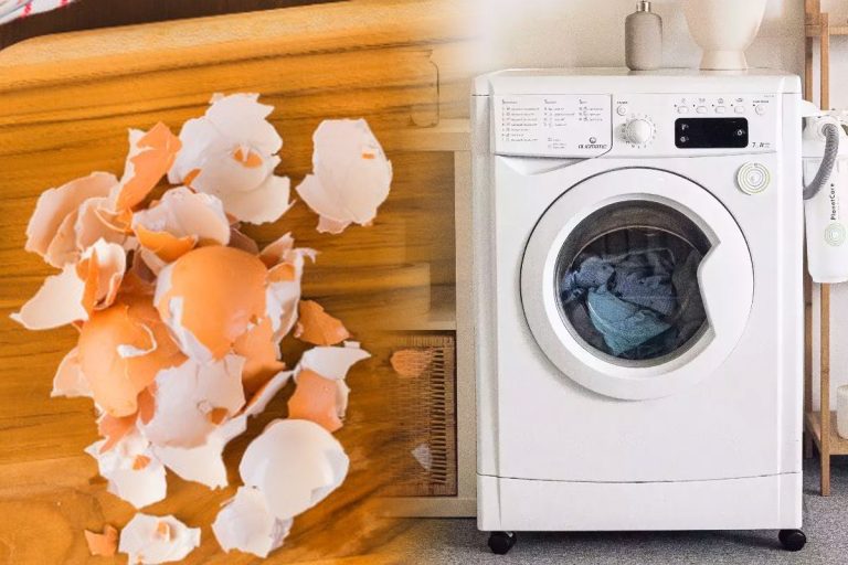 Tot mai multe gospodine pun coji de ouă în mașina de spălat. Trucul genial care te scapă de o problemă uriașă