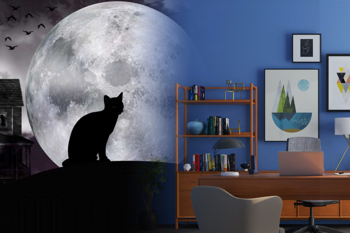 X obiecte care aduc ghinion in casa