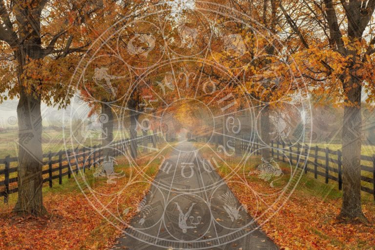 Zodia care câștigă foarte mulți bani în toamna 2023. Acești nativi dau lovitura, au parte din plin de belșug