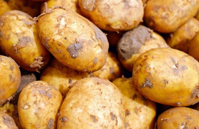 Pune două lămâi în lada cu cartofi și rezolvi o problemă uriașă. Gospodarii de la țară doar așa procedează